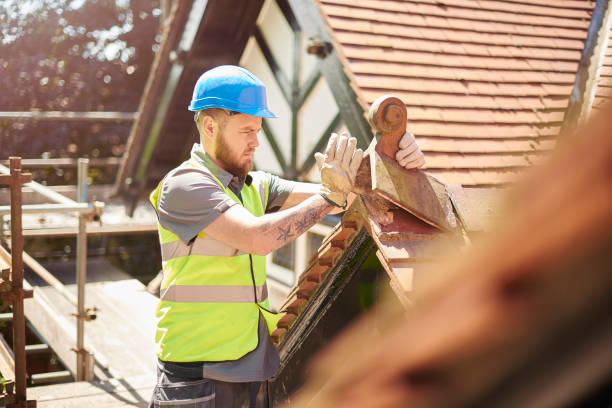 Best Roof Leak Repair  in Elizabeth, NJ